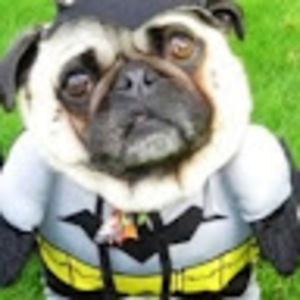 Meet your Posher, Tim